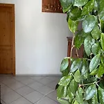 Guest house Buchmann Frantiskovy Lazne