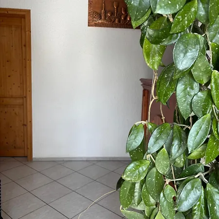 Guest house Buchmann Frantiskovy Lazne